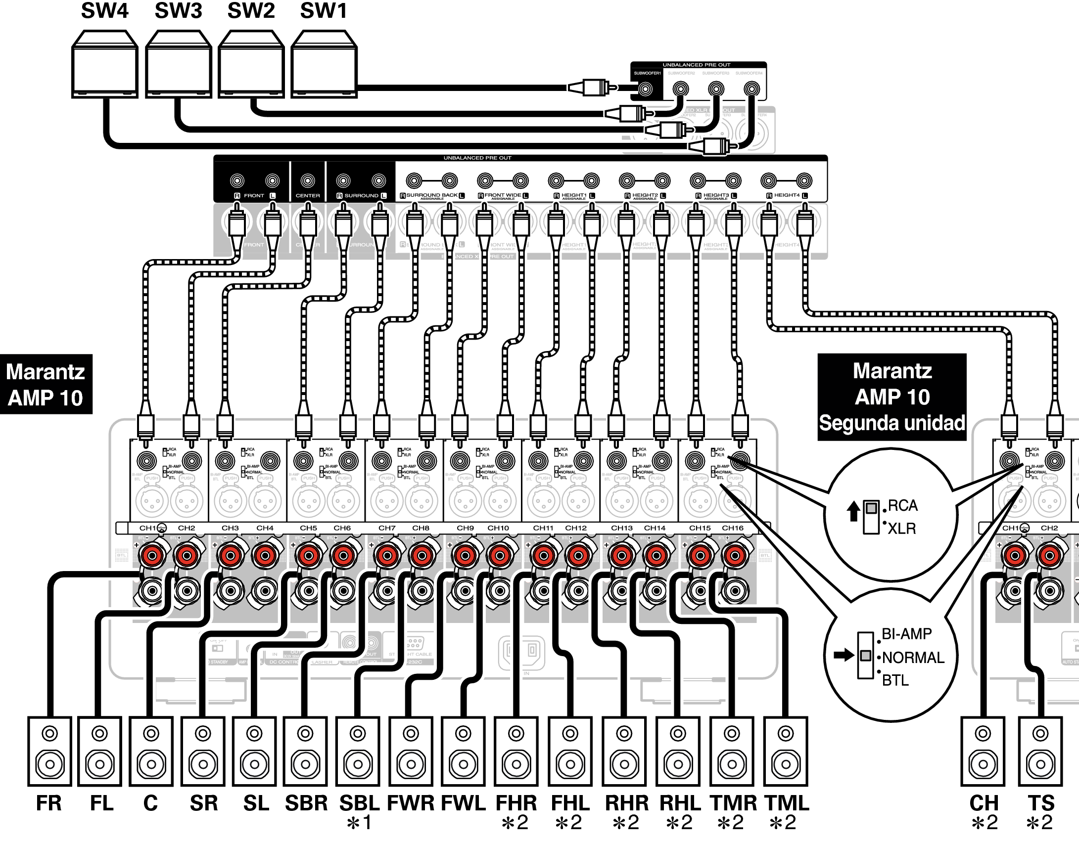 Conne SP Unbalanced AV10